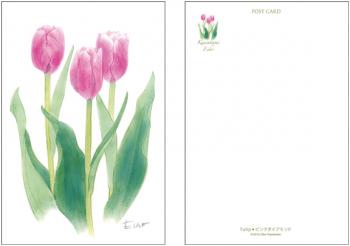 Tulip●ピンクダイアモンド