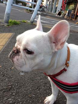 20111029.jpg