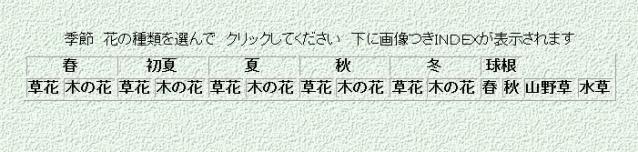 目次
