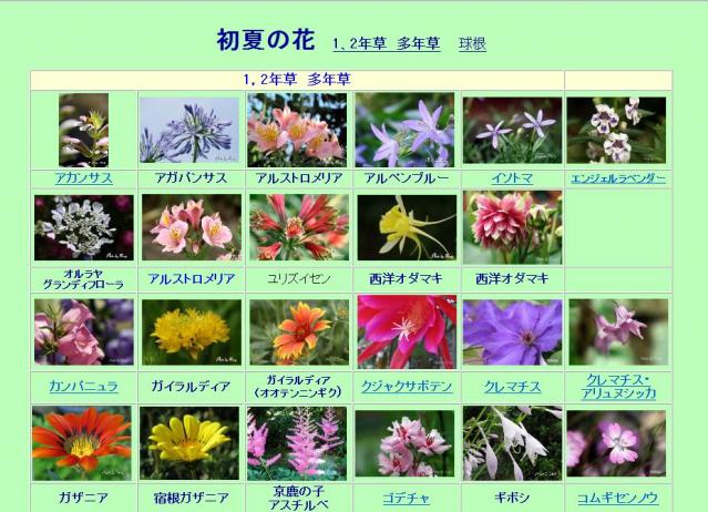 花INDEX 初夏
