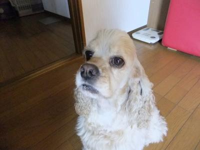 itigo