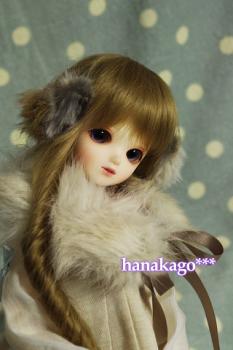 resize2533.jpg