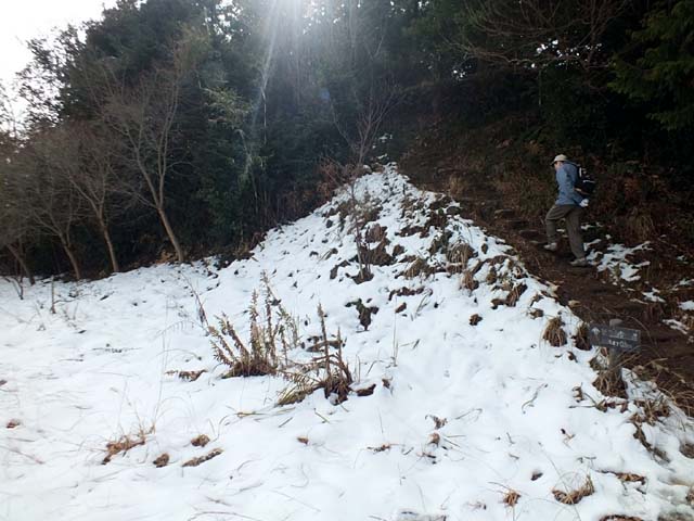 登山道の雪(61261 byte)