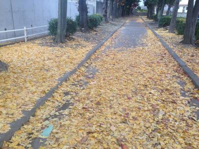 IMG_0661_convert_20131219173851.jpg