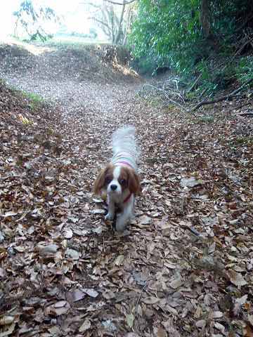 1201_9.jpg