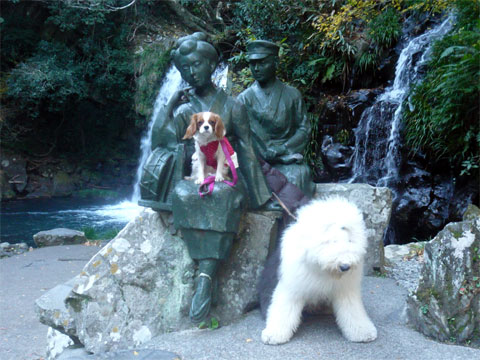 izu11.jpg