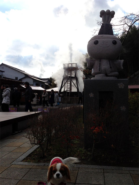 izu14.jpg