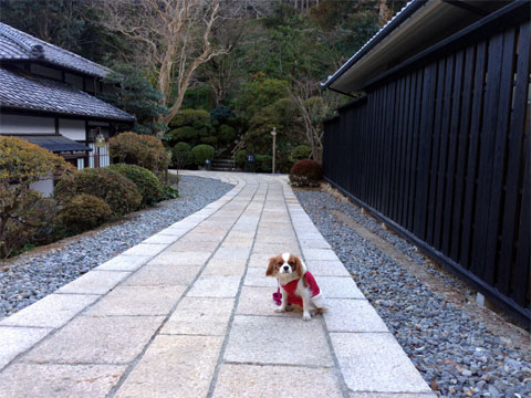 izu18.jpg