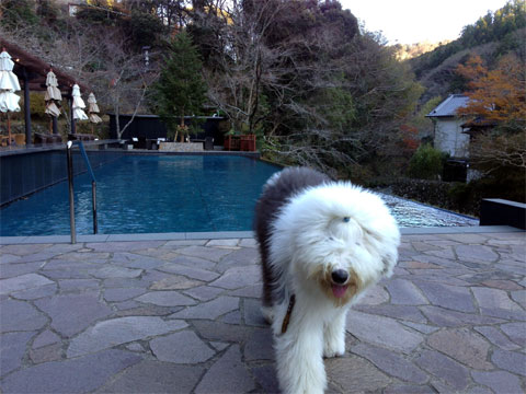 izu22.jpg