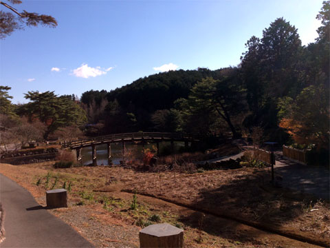niji9.jpg