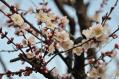 120320_1.jpg