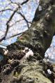 120407_3.jpg