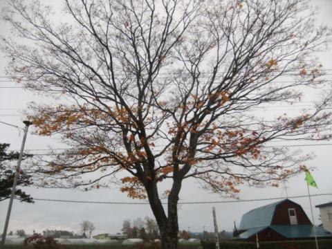 2011.10.23 010