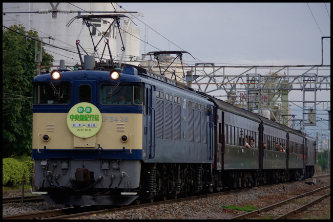 IMOP9470.jpg