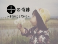 kodomo.jpg