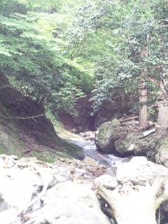 DSC_1675.jpg