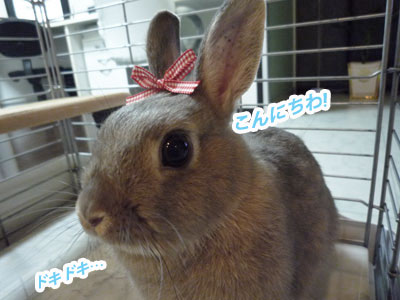はじめまして!