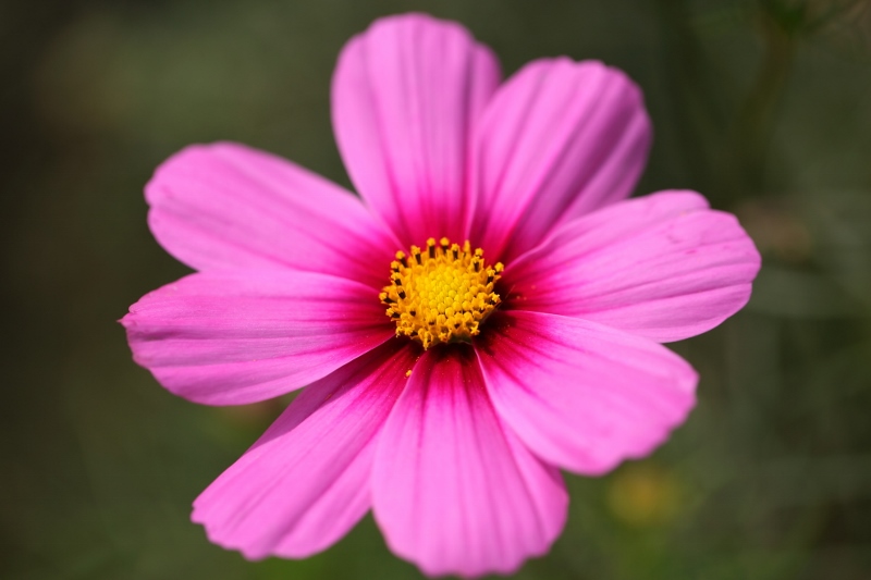 hmrk0915_0018f.jpg