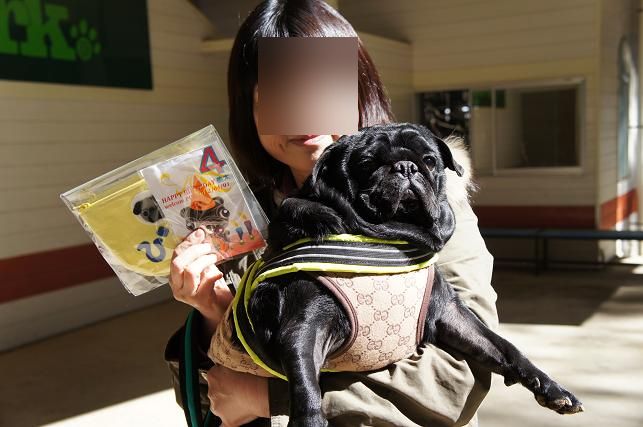 welcome PUG 2012 (285)