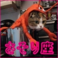 さそり座