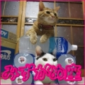 みずがめ座