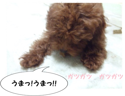 DSCF2248.jpg