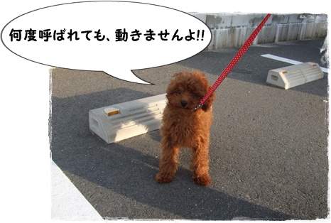 DSCF2393.jpg
