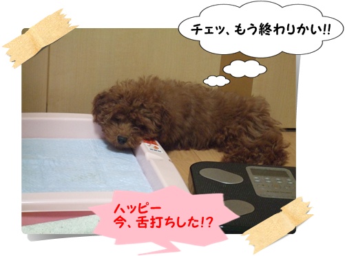 DSCF2473.jpg