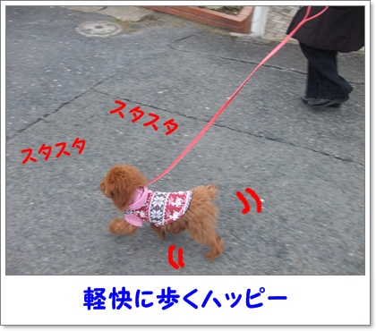 DSCF2575.jpg