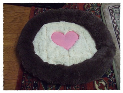 DSCF2750.jpg
