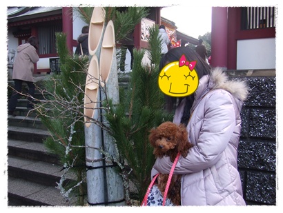 DSCF2822.jpg