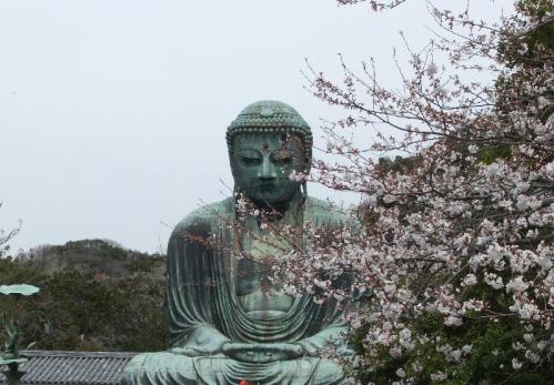 DSCF1102kamakura.jpg