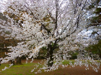 s-P1080216.jpg