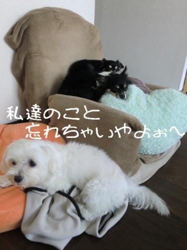 忘れないで