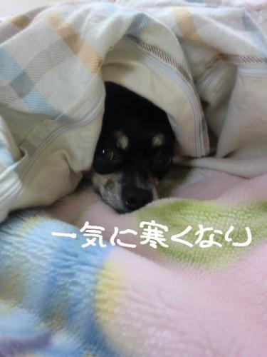 忘れないで1