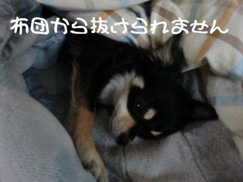 忘れないで2