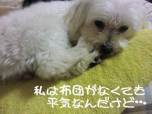 忘れないで3