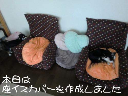 カバー