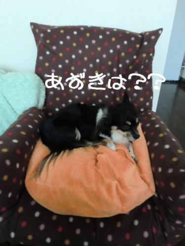 カバー1