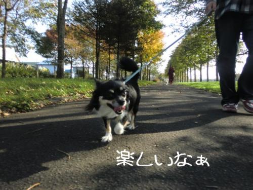 クリ3