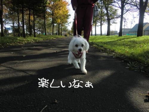 クリ4