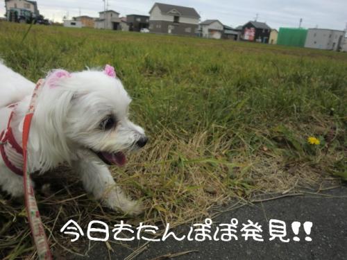 くもり