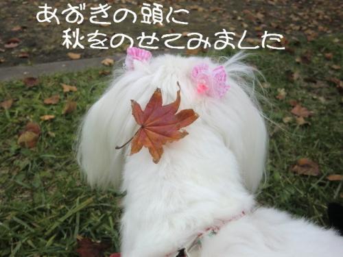 くもり2