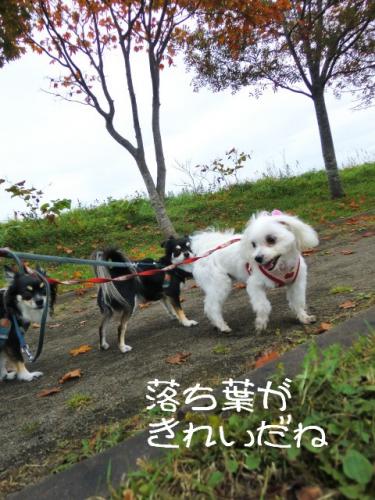 くもり3