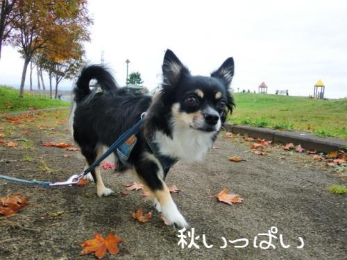 くもり4
