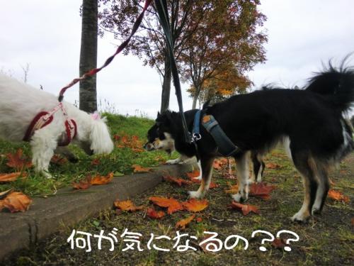 くもり5