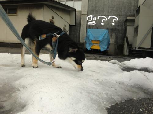くもり6