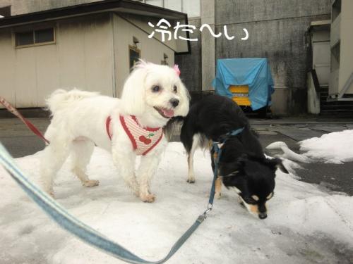くもり7