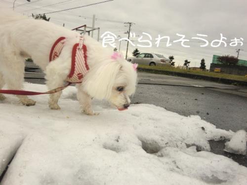 くもり9