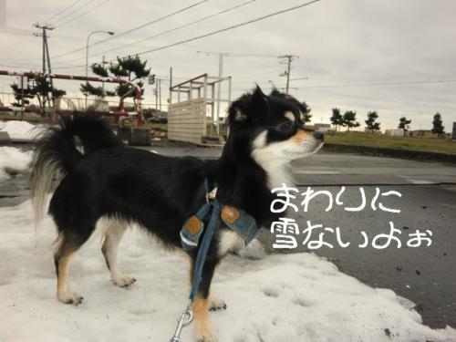くもり10